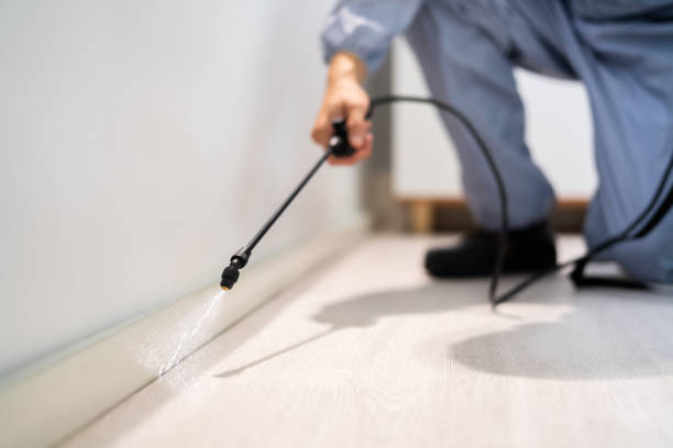 Licensed Exterminator service in Weber City, VA - Show Me Pest Control