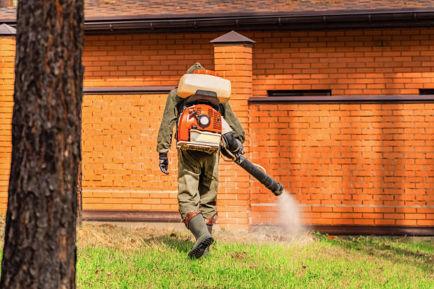 Bed Bug Clearance Verification and Documentation in Weber City